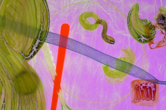 Animation 02