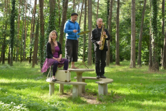 RADIOLUX 2014 Frankreich